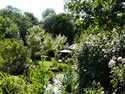 Pakenham Open Gardens 26.06.2011