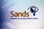 WI Role and Work of S.A.N.D.S. 20190214